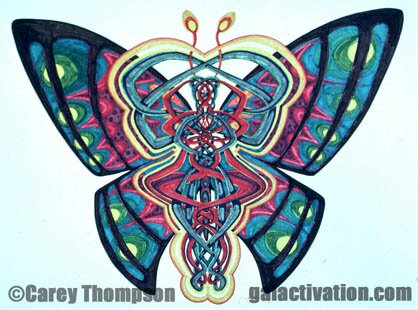 butterfly