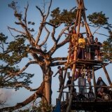 Templo Morpho- Envision Festival