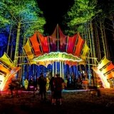 Entry portal for Electric Forest's Sherwood Forest. 2014