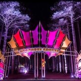 Center Portal at night- Electric Forest Festival 2013