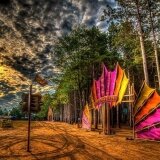 Electric Forest portals 2013