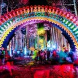 Electric Forest Festival Portal 2015