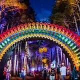 Sherwood Forest Portal- Electric Forest Festival 2015 (photo DV Photo)